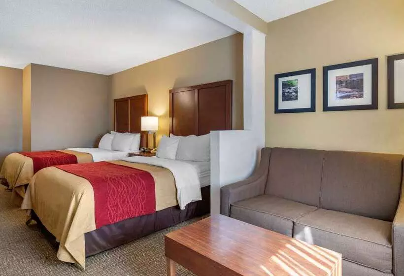 Отель Comfort Inn & Suites Suwanee  Sugarloaf