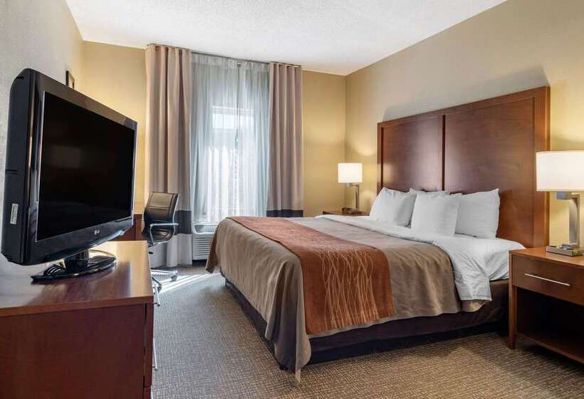 בית מלון כפרי Comfort Inn & Suites Suwanee Sugarloaf