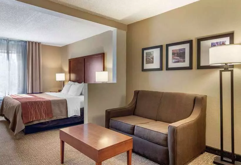 Отель Comfort Inn & Suites Suwanee  Sugarloaf