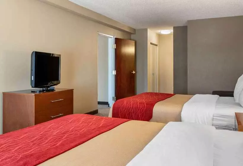 Отель Comfort Inn & Suites Suwanee  Sugarloaf