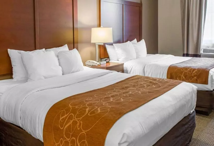 酒店 Quality Suites