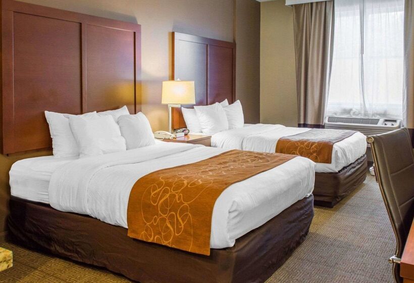 酒店 Quality Suites