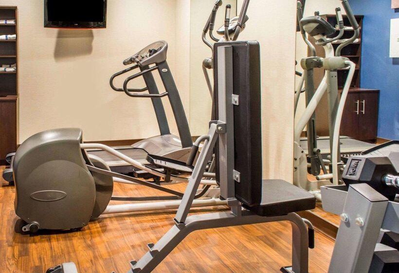 酒店 Quality Suites