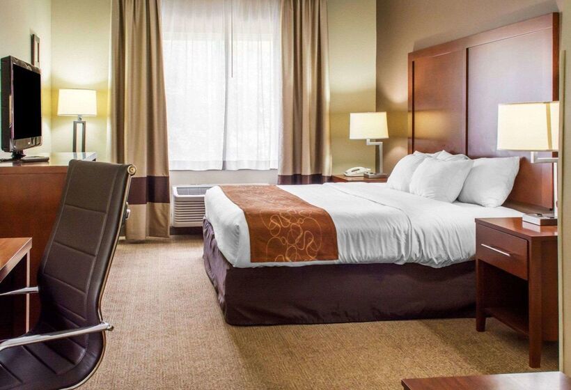 酒店 Quality Suites