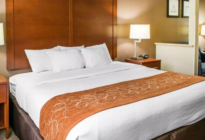 酒店 Quality Suites