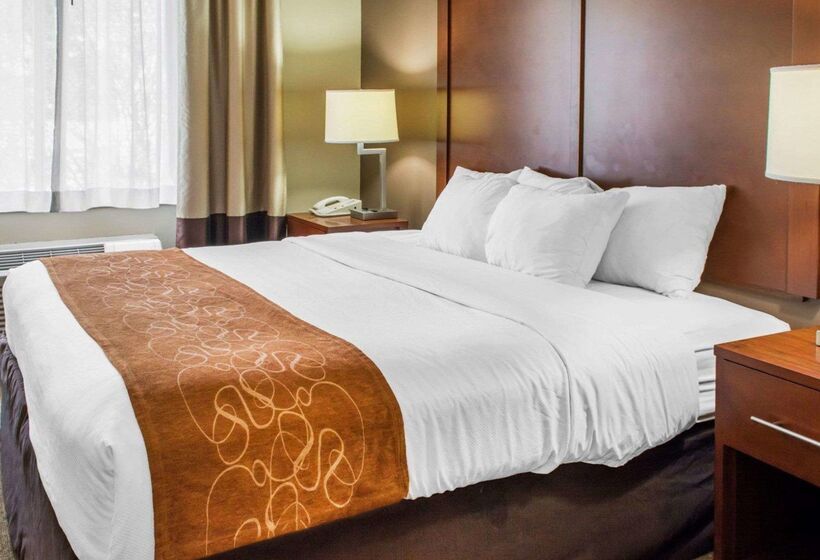 酒店 Quality Suites