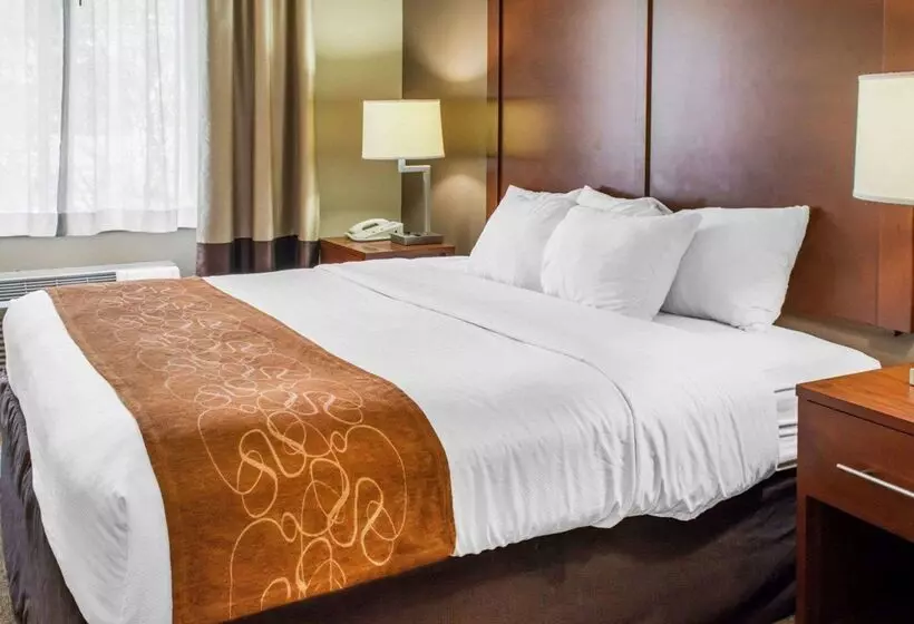 酒店 Quality Suites