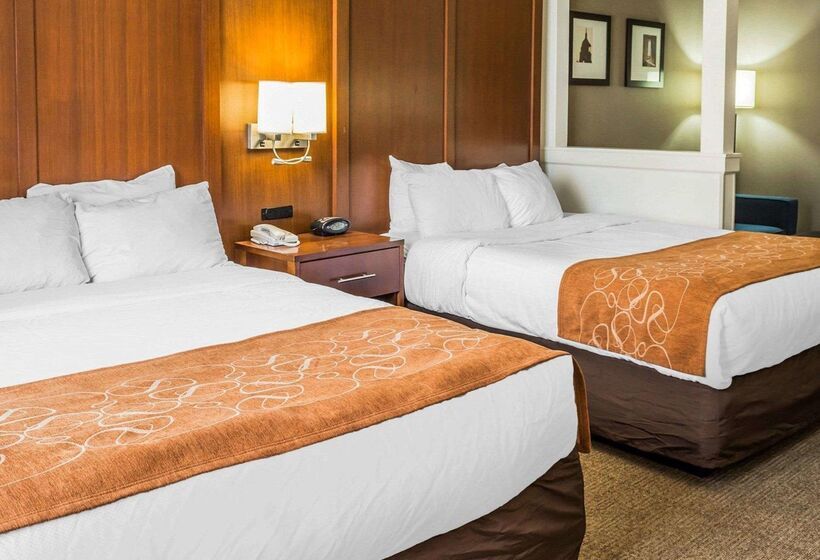 酒店 Quality Suites