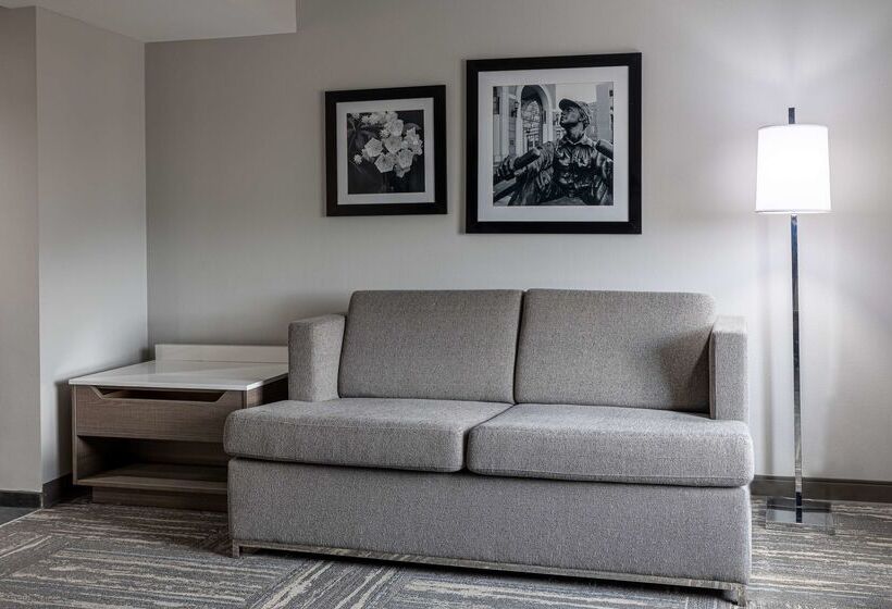 فندق Hampton Inn & Suites Knoxvilledowntown