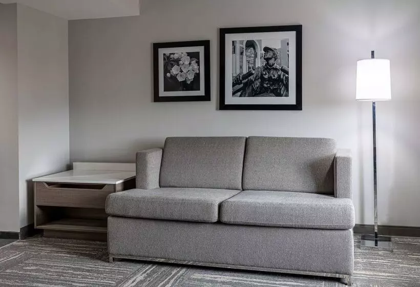 בית מלון כפרי Hampton Inn & Suites Knoxvilledowntown