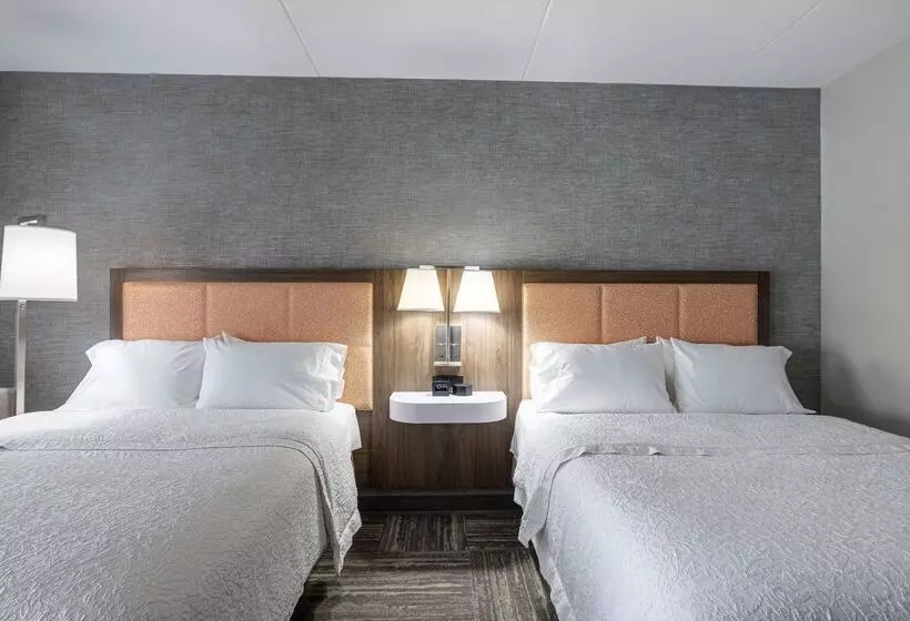 בית מלון כפרי Hampton Inn & Suites Knoxvilledowntown