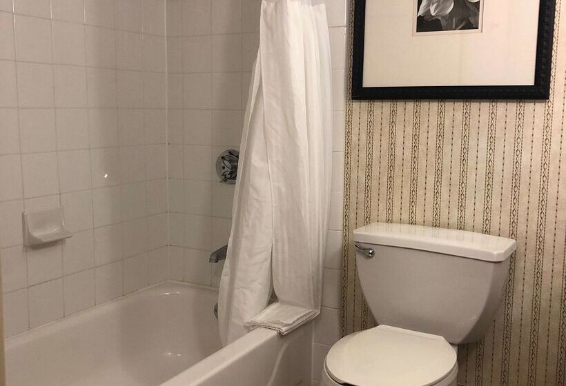 Отель Hilton Garden Inn Addison