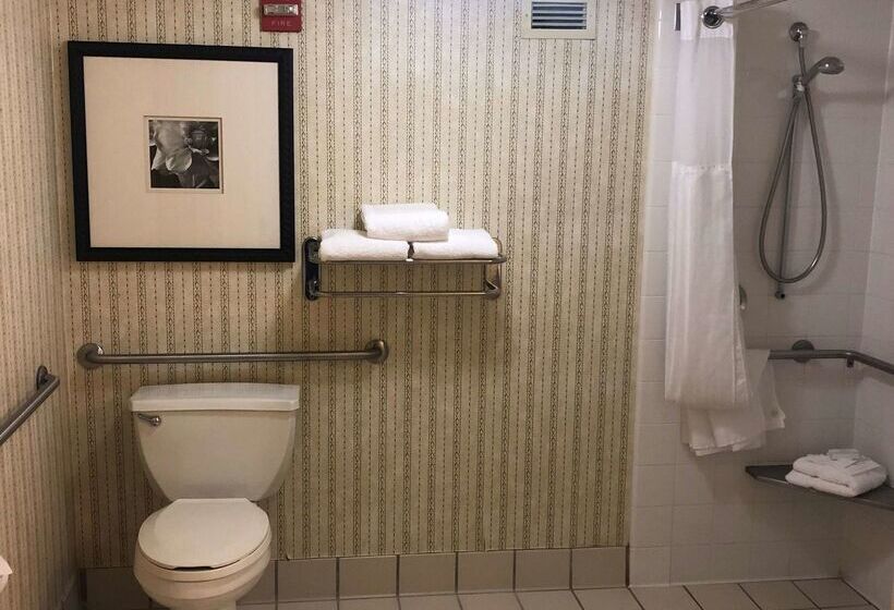 Отель Hilton Garden Inn Addison