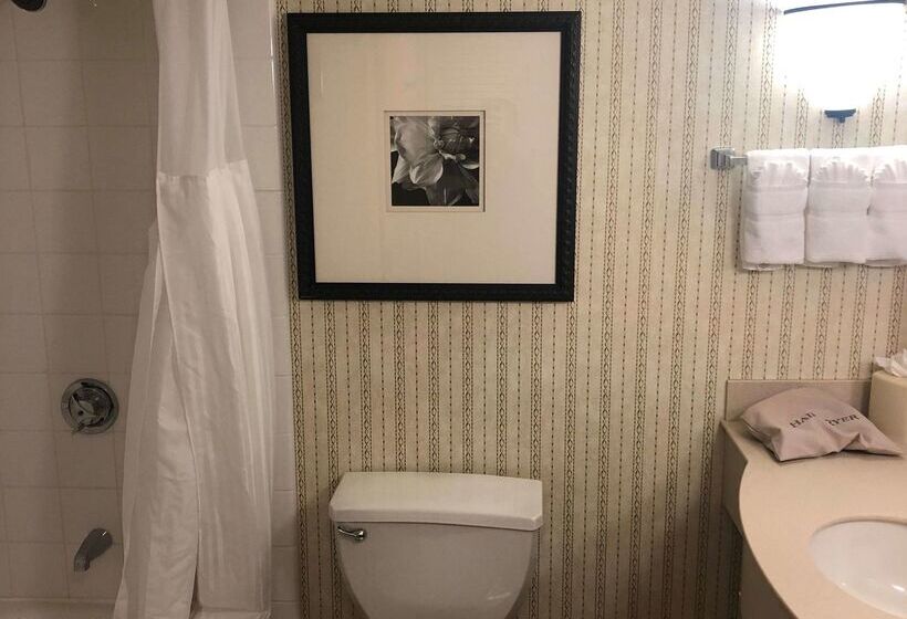 Отель Hilton Garden Inn Addison