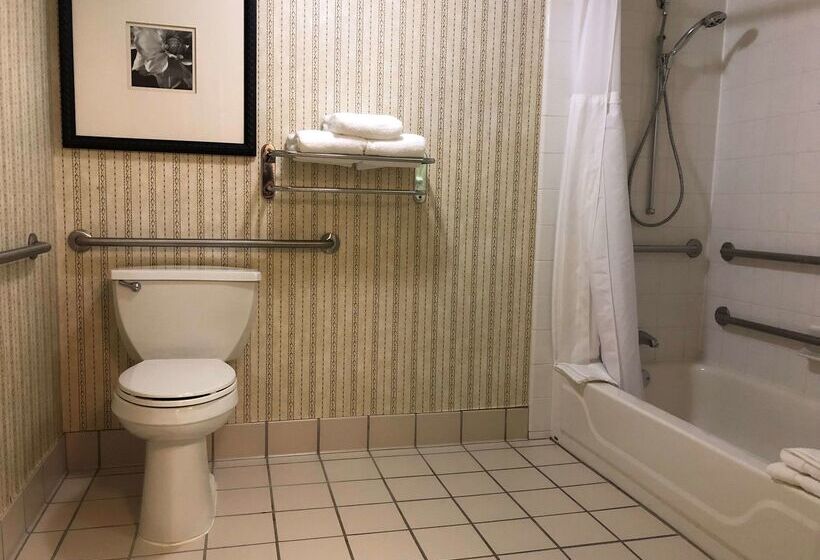 Отель Hilton Garden Inn Addison