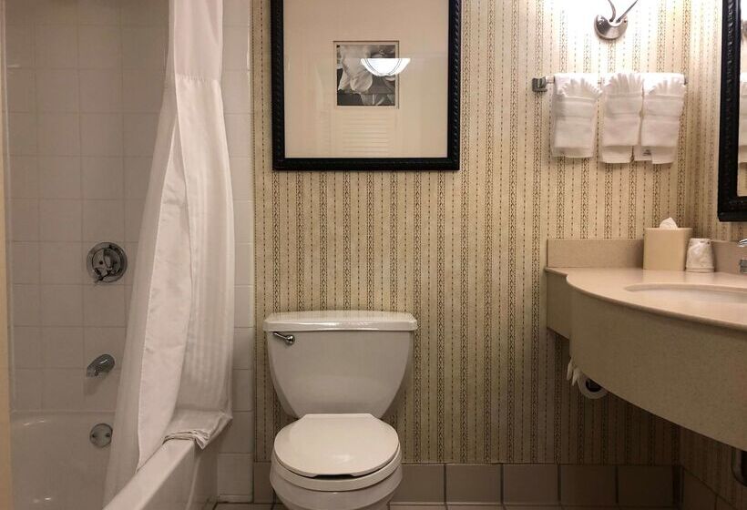 Отель Hilton Garden Inn Addison