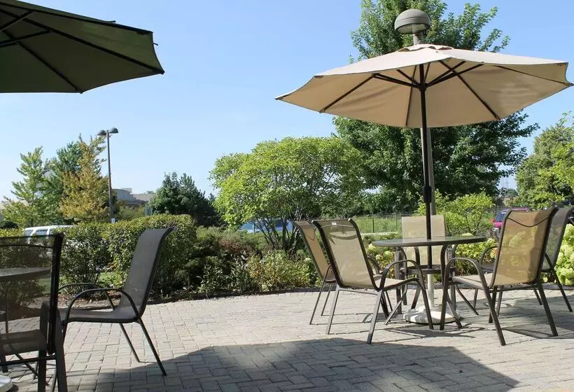 호텔 Hilton Garden Inn Addison