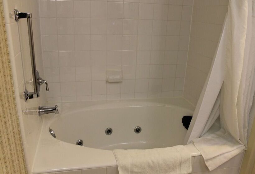 Отель Hilton Garden Inn Addison