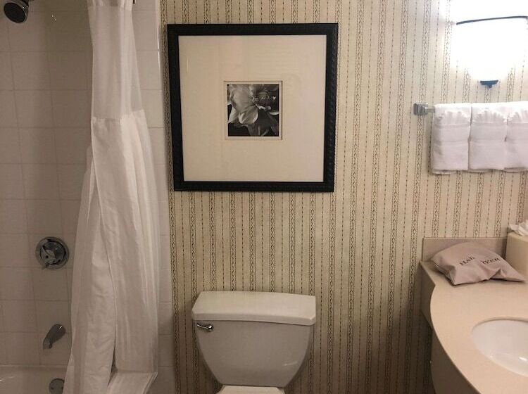 Отель Hilton Garden Inn Addison