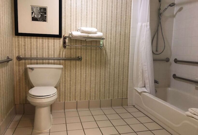 Отель Hilton Garden Inn Addison