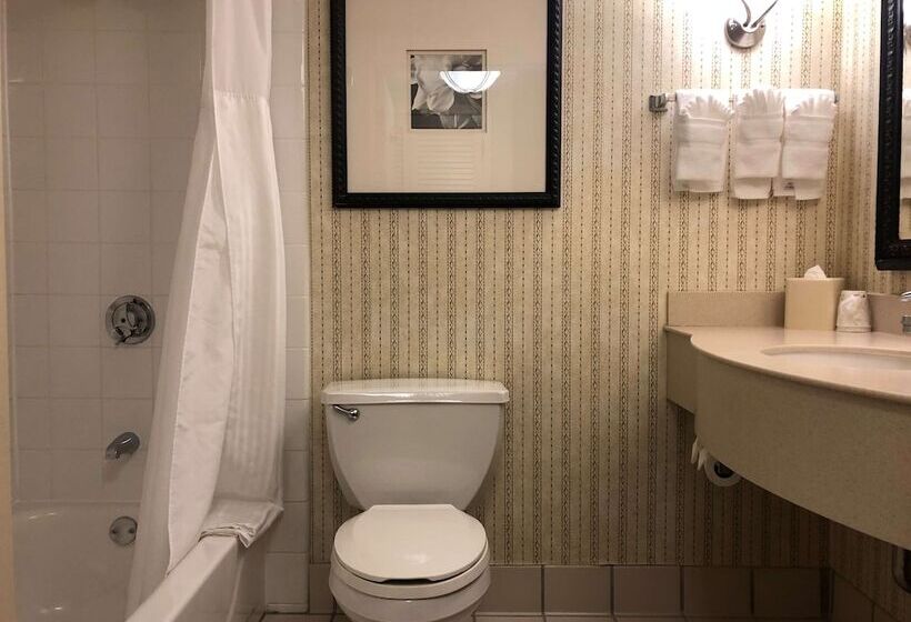 Отель Hilton Garden Inn Addison