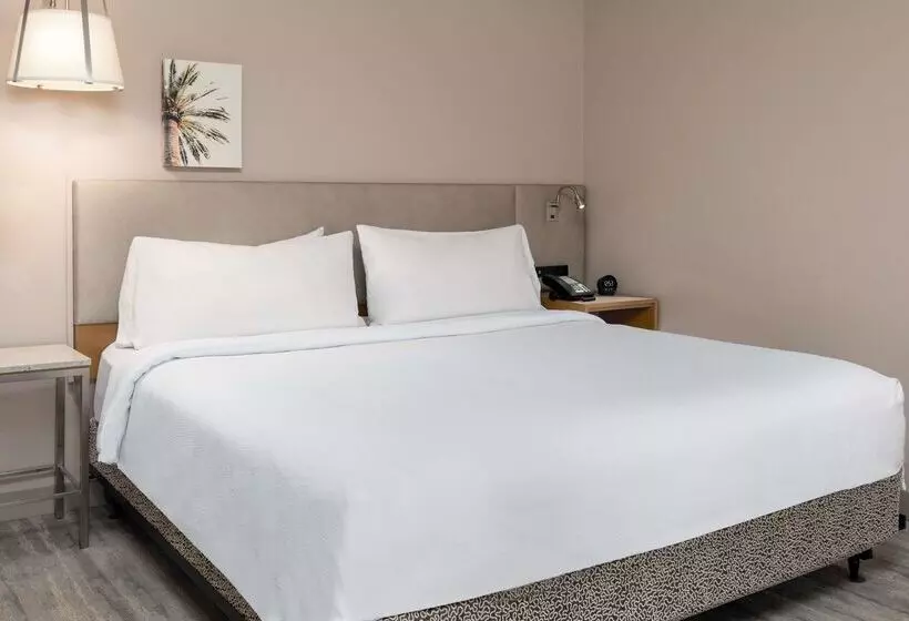 ホテル Hilton Garden Inn Ft. Lauderdale Sw/miramar