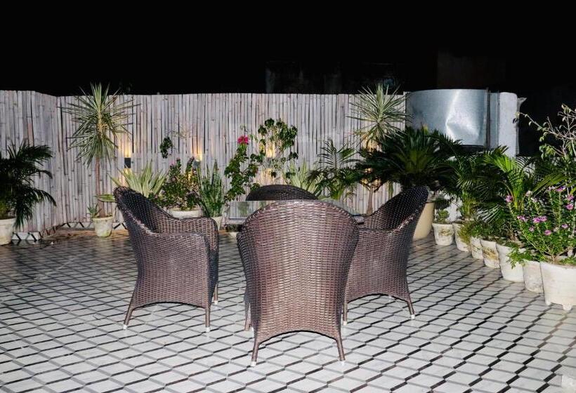 ホテル Magic Tree Karol Bagh Metro Station New Delhi