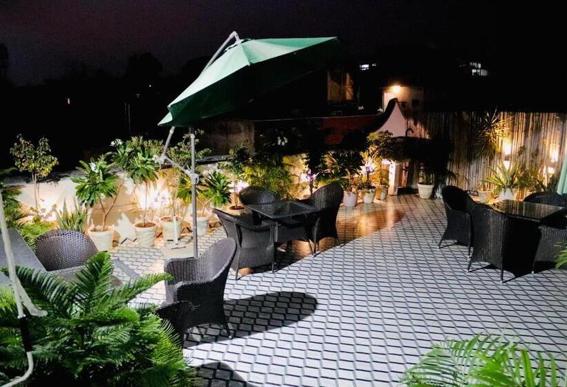 ホテル Magic Tree Karol Bagh Metro Station New Delhi