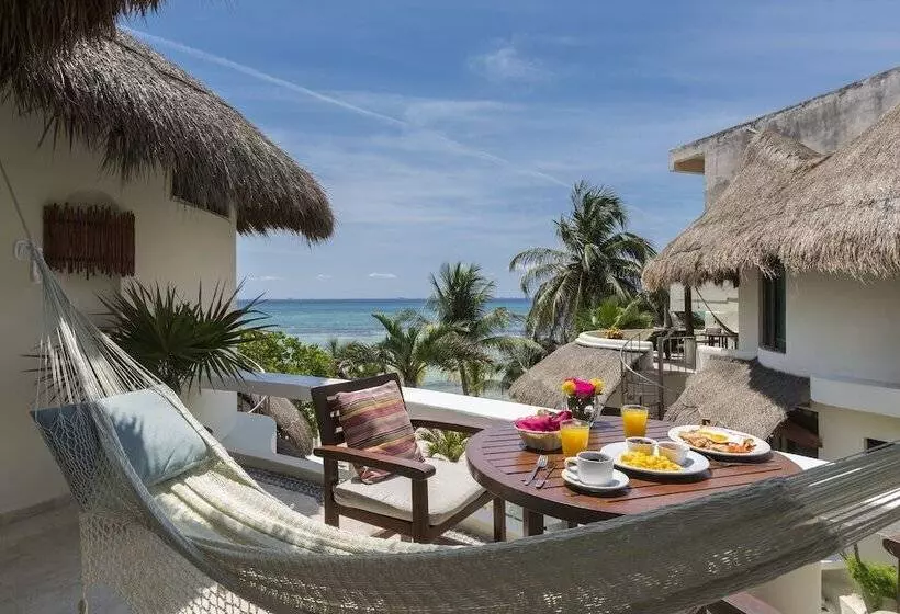 ホテル Playa Palms Beach