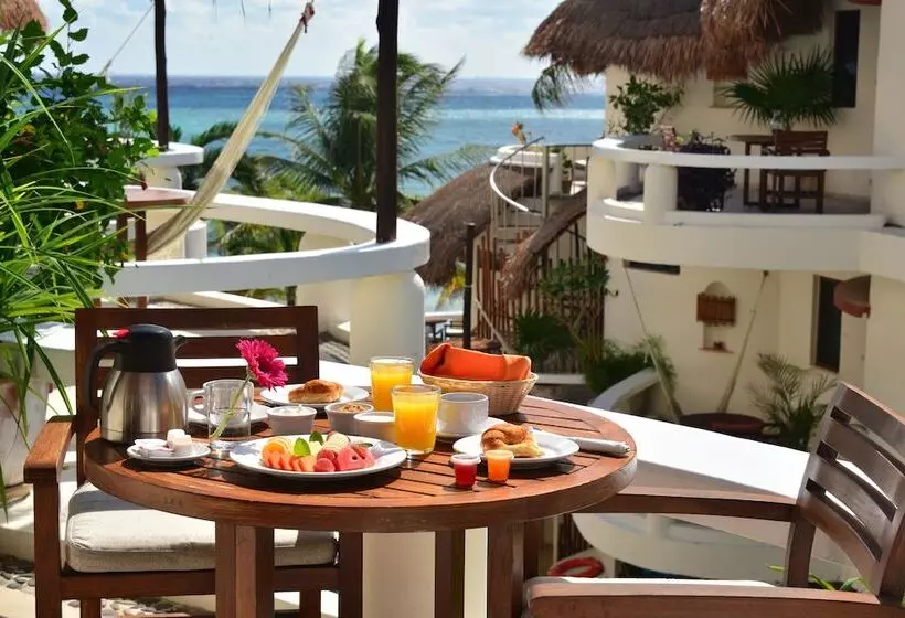 ホテル Playa Palms Beach