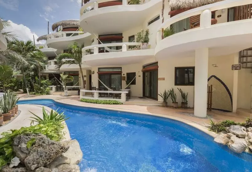 ホテル Playa Palms Beach