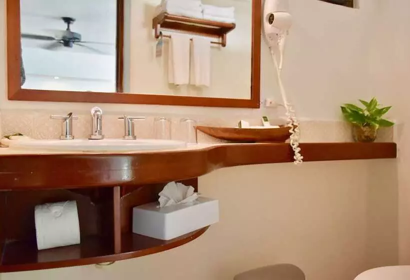 ホテル Playa Palms Beach