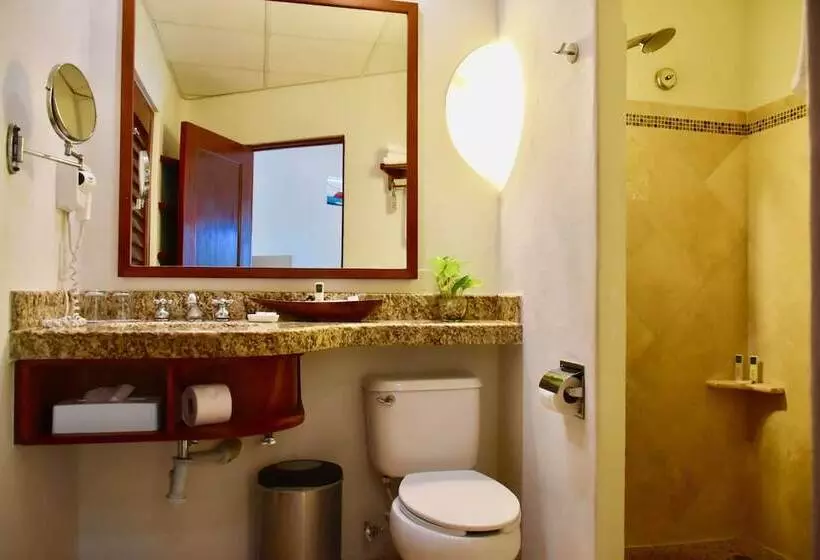 ホテル Playa Palms Beach