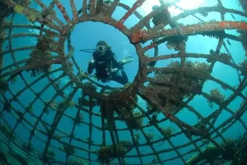 Отель Pondok Sari Pemuteran