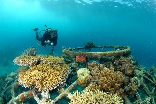 호텔 Pondok Sari Pemuteran