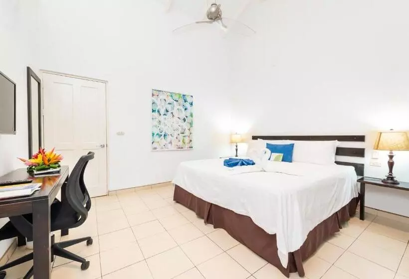 ホテル Seis Playas