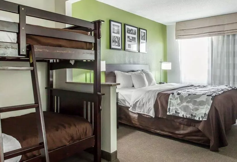 Отель Sleep Inn & Suites Near I 90 And Ashtabula
