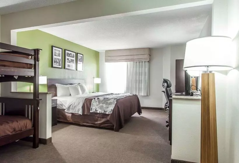 Отель Sleep Inn & Suites Near I 90 And Ashtabula