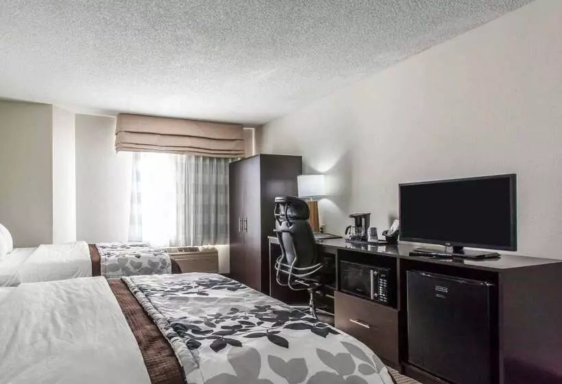 Отель Sleep Inn & Suites Near I 90 And Ashtabula