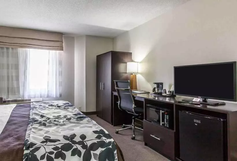 Отель Sleep Inn & Suites Near I 90 And Ashtabula