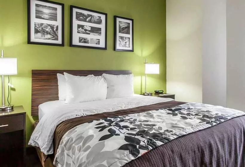 Отель Sleep Inn & Suites Near I 90 And Ashtabula