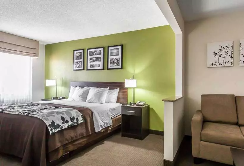 Отель Sleep Inn & Suites Near I 90 And Ashtabula