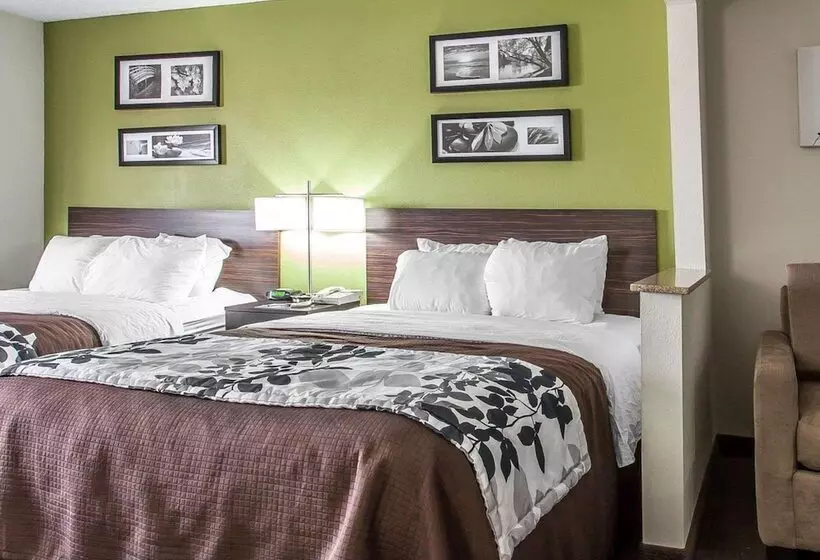 Отель Sleep Inn & Suites Near I 90 And Ashtabula