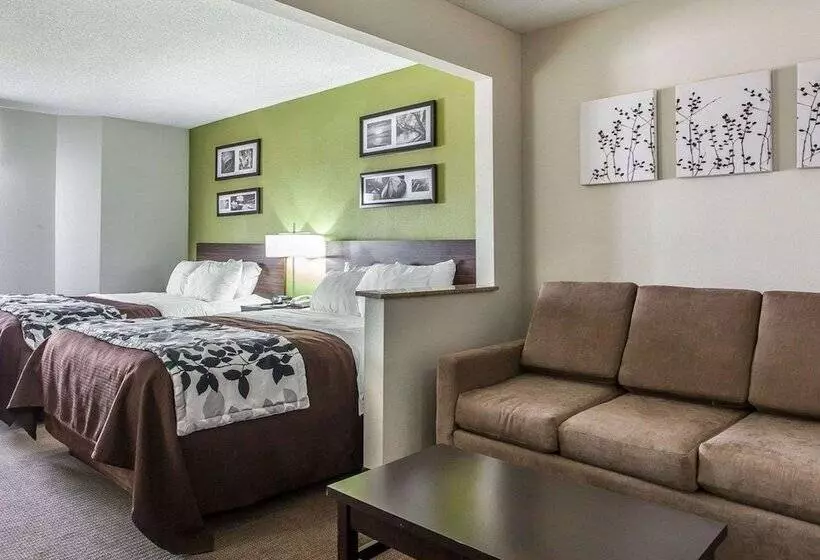 Отель Sleep Inn & Suites Near I 90 And Ashtabula