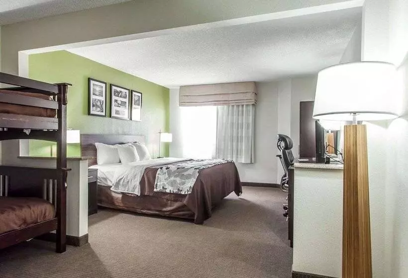 Отель Sleep Inn & Suites Near I 90 And Ashtabula