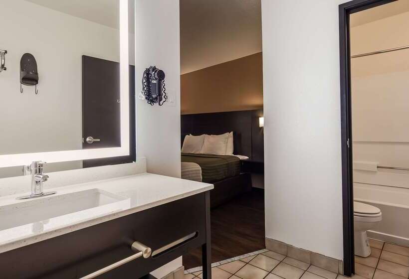 Surestay Hotel By Best Western Phoenix Airport