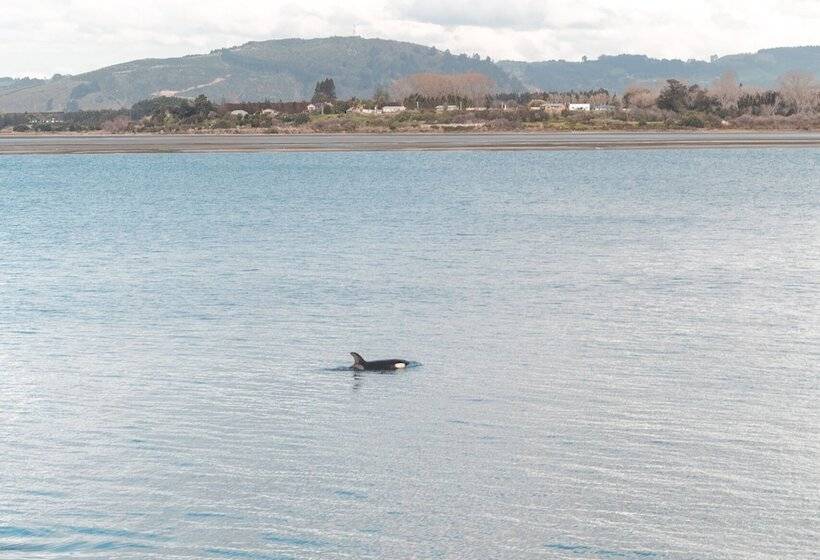 בית מלון כפרי Trinity Wharf Tauranga