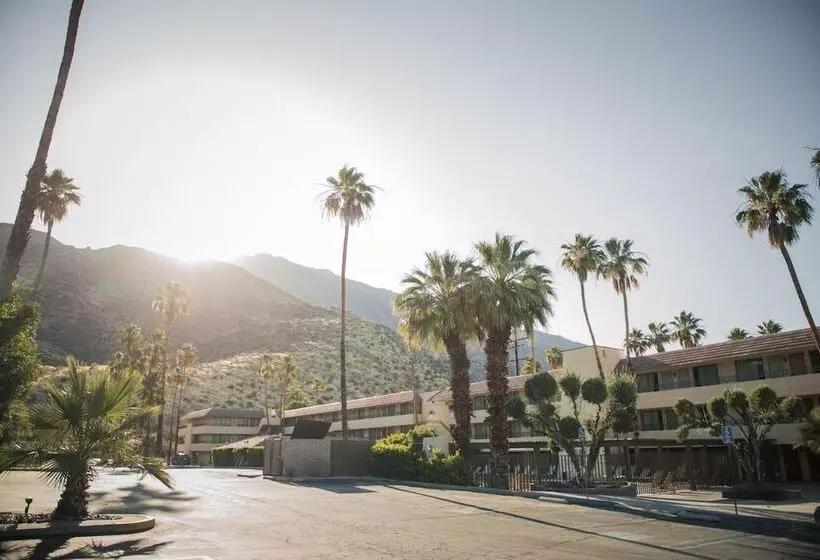 Vagabond Motor Hotel   Palm Springs
