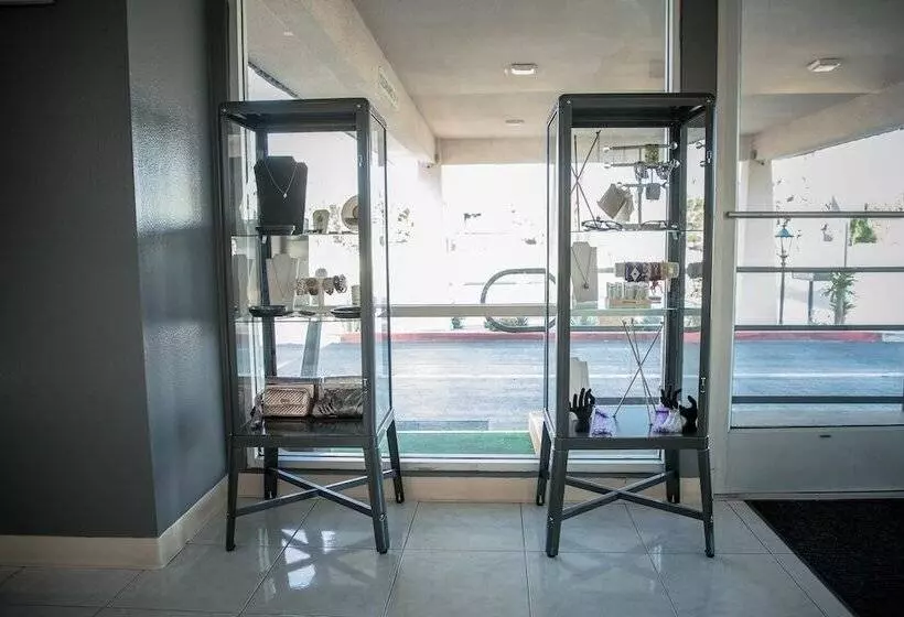 Vagabond Motor Hotel   Palm Springs