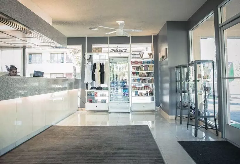 Vagabond Motor Hotel   Palm Springs